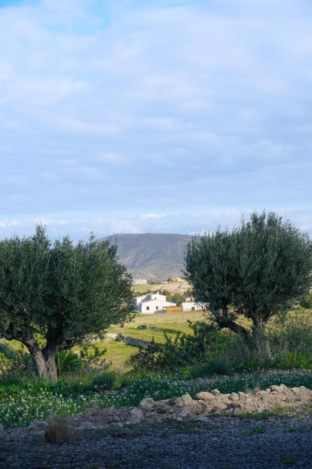 Hotel Finca Olivar Benissa Εξωτερικό φωτογραφία