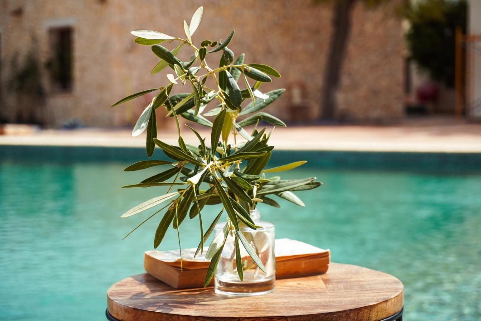 Hotel Finca Olivar Benissa Εξωτερικό φωτογραφία