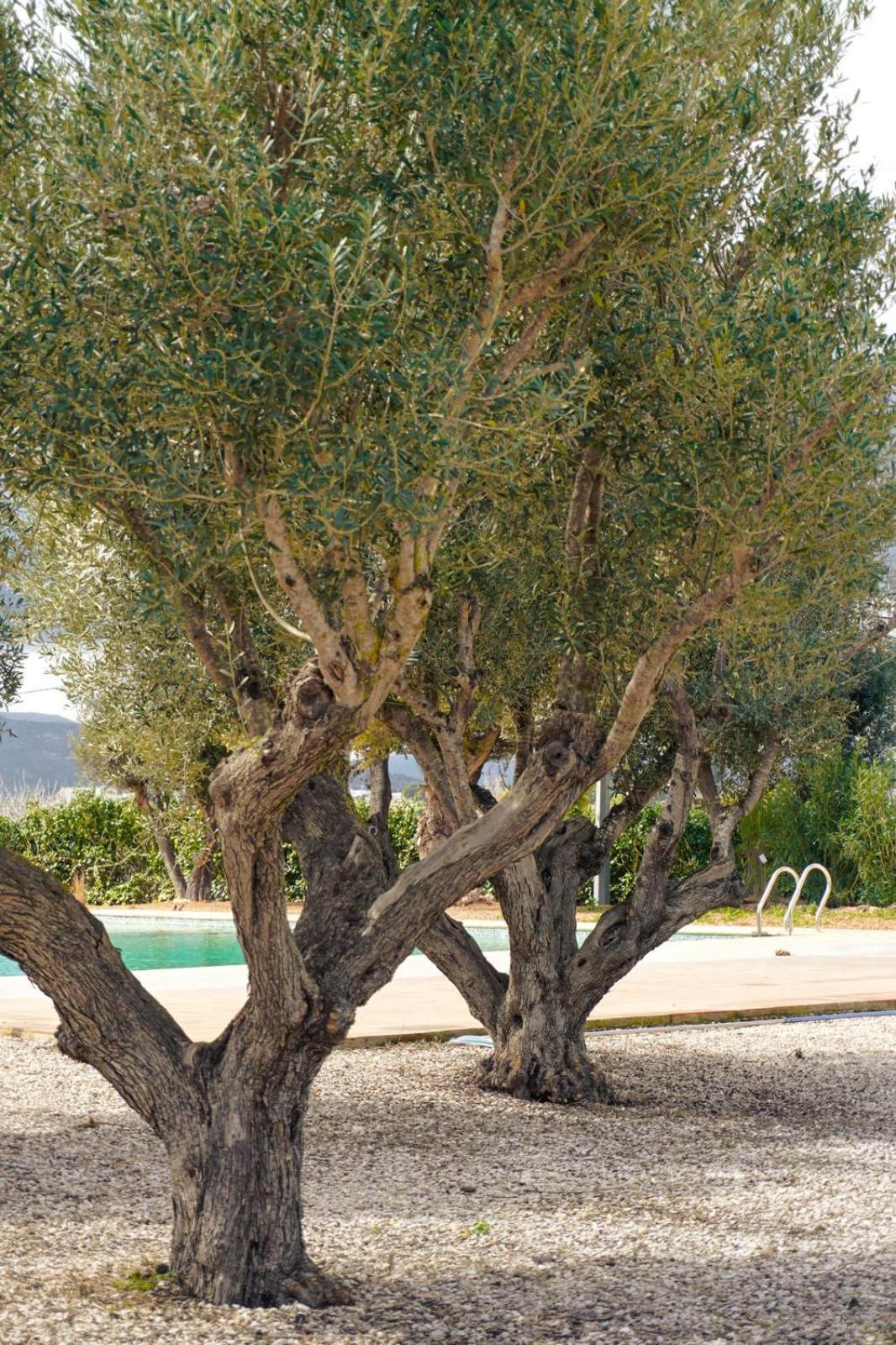 Hotel Finca Olivar Benissa Εξωτερικό φωτογραφία