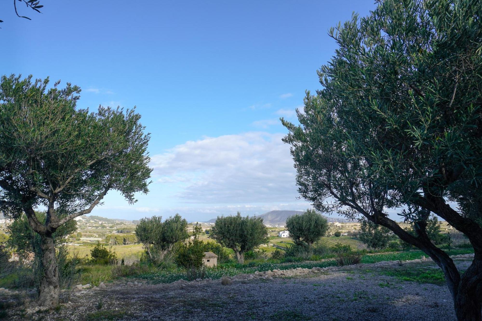 Hotel Finca Olivar Benissa Εξωτερικό φωτογραφία