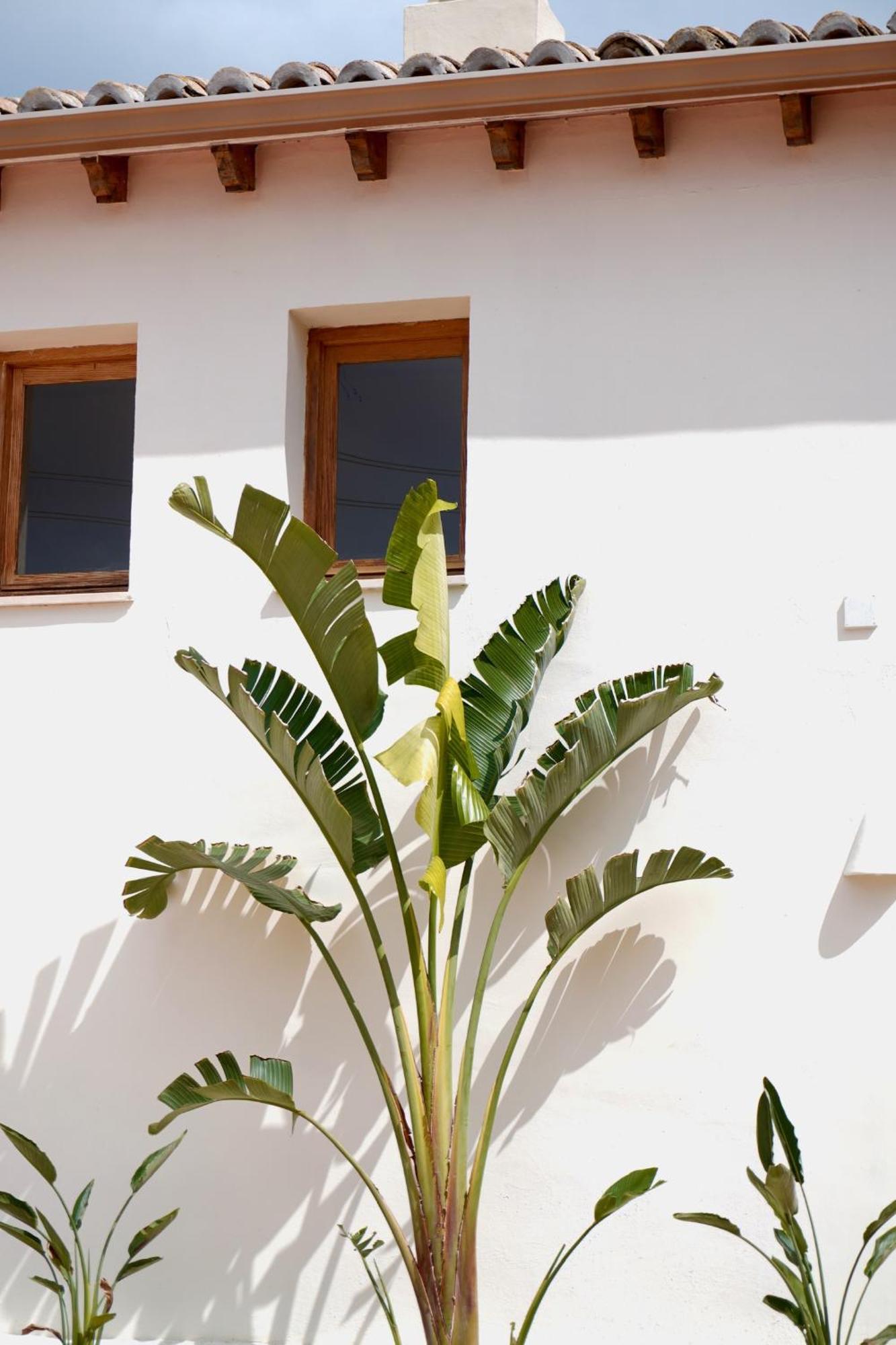 Hotel Finca Olivar Benissa Εξωτερικό φωτογραφία